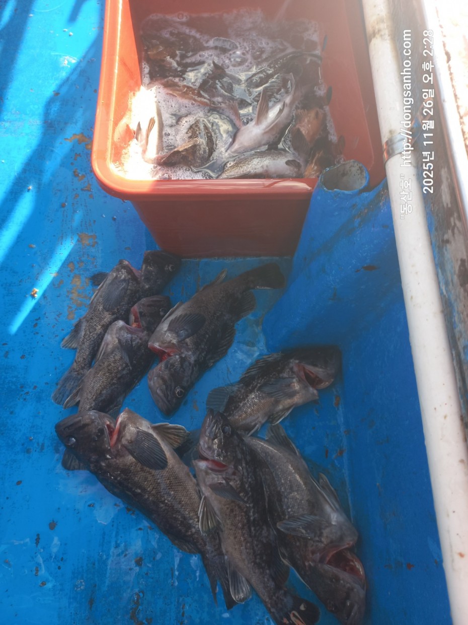 fabdaf0de502a0ded18254e9ca67439d_1764201