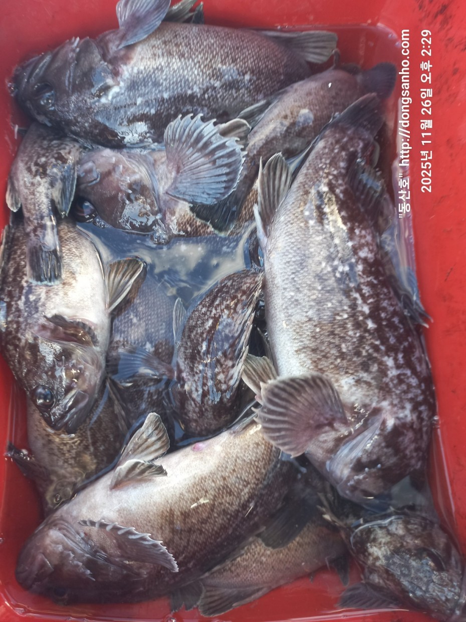 fabdaf0de502a0ded18254e9ca67439d_1764201