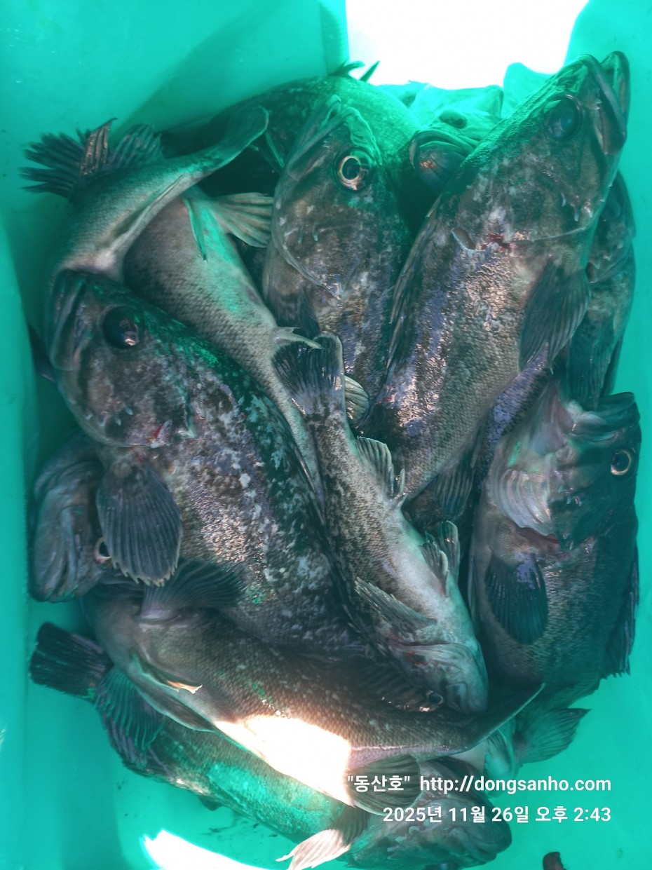 fabdaf0de502a0ded18254e9ca67439d_1764201