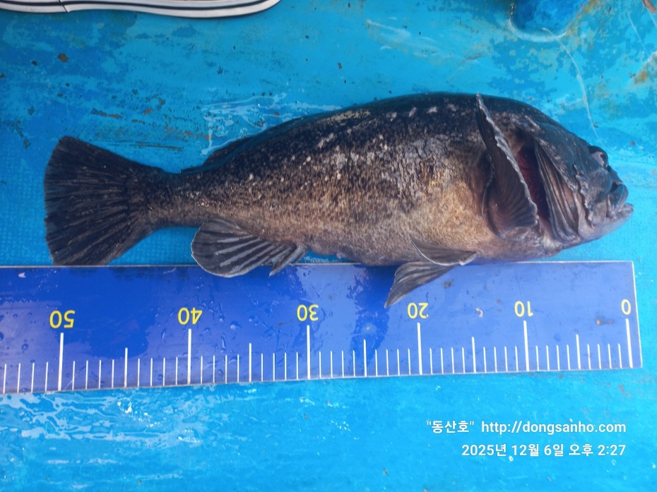 4c6e56204e9603b776046c4a8322d005_1765148