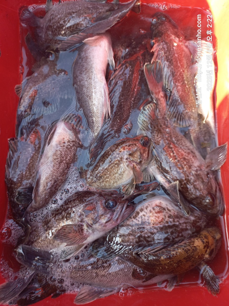 4c6e56204e9603b776046c4a8322d005_1765148