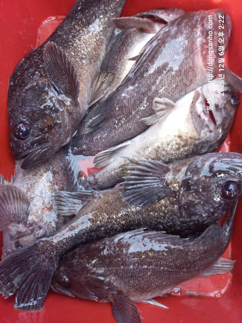 4c6e56204e9603b776046c4a8322d005_1765148