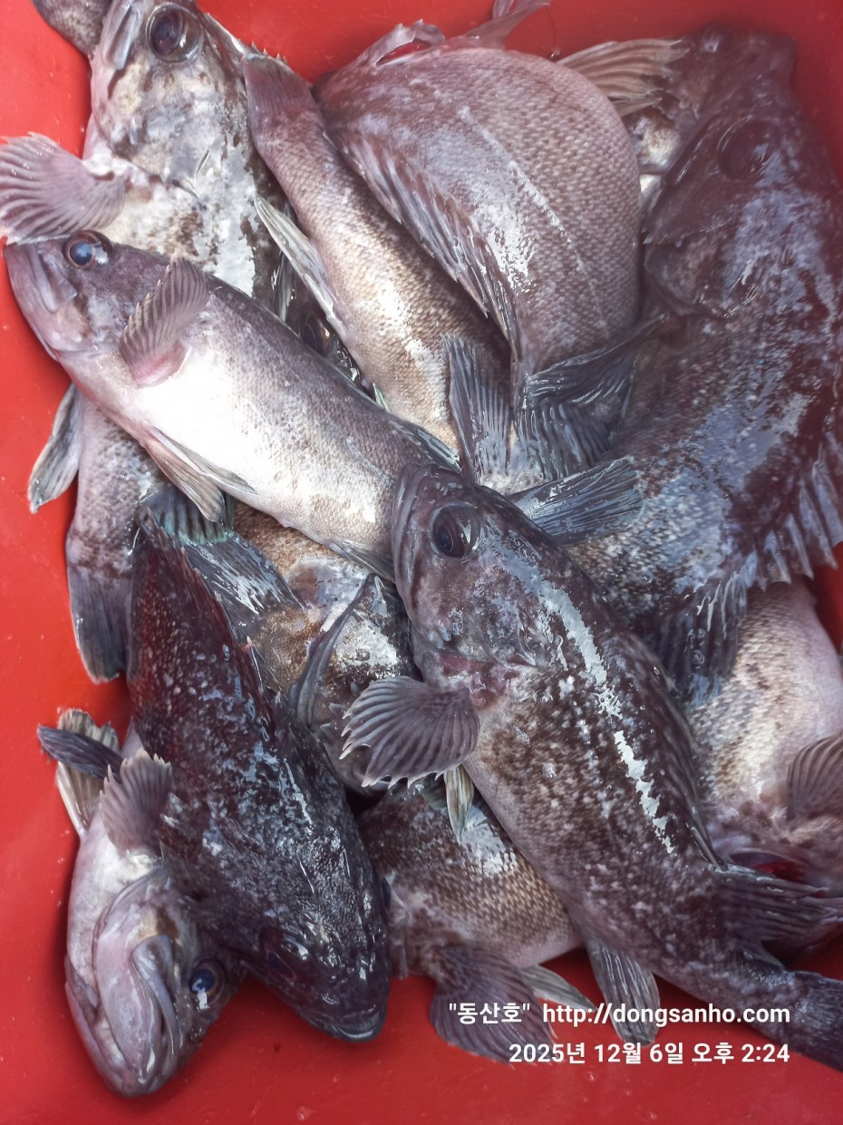 4c6e56204e9603b776046c4a8322d005_1765148