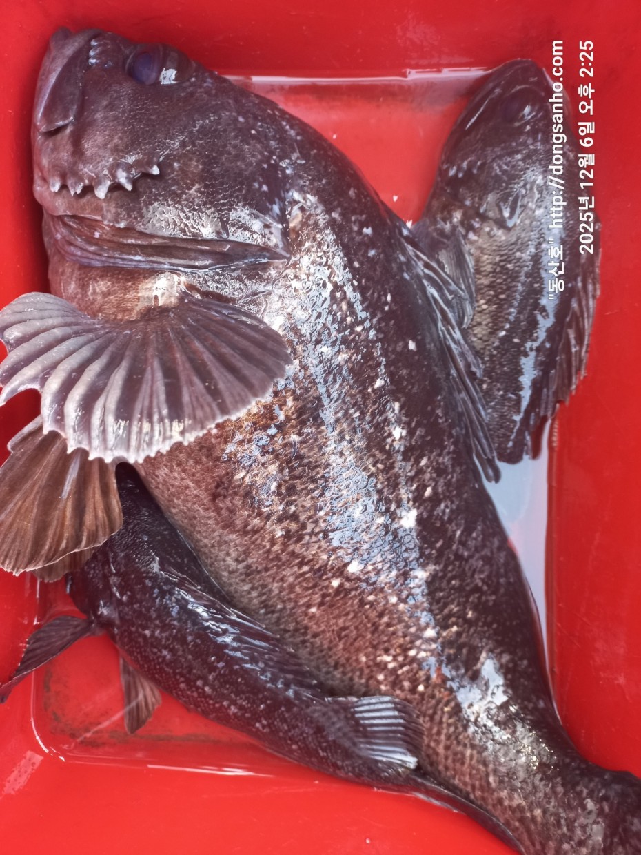 4c6e56204e9603b776046c4a8322d005_1765148