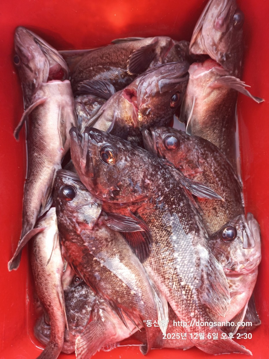 4c6e56204e9603b776046c4a8322d005_1765148