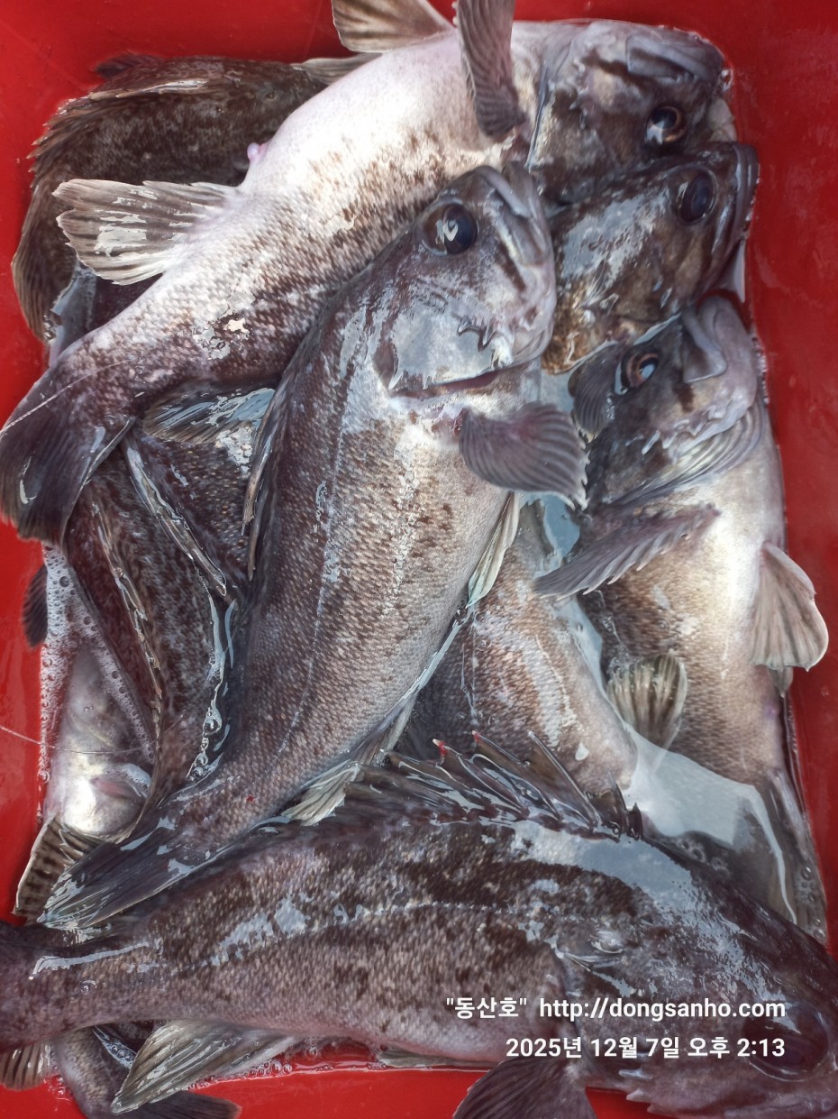 75fa8b21cb67879b08486f82596e85b3_1765161