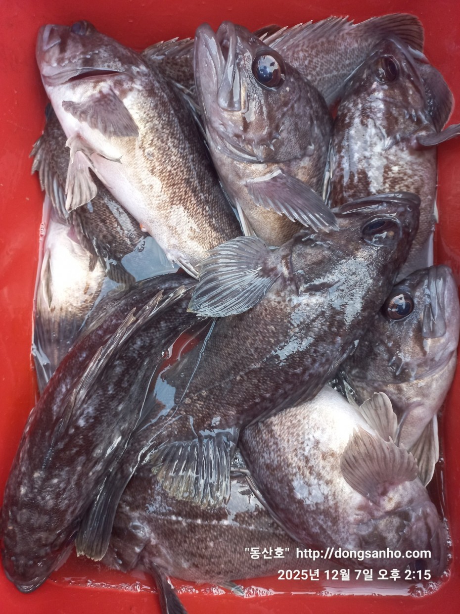 75fa8b21cb67879b08486f82596e85b3_1765161