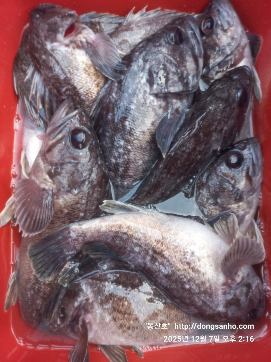 75fa8b21cb67879b08486f82596e85b3_1765161