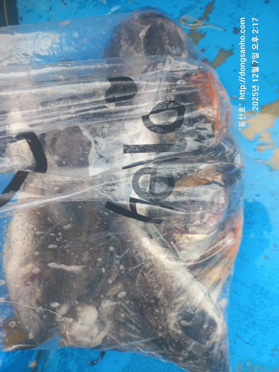 75fa8b21cb67879b08486f82596e85b3_1765161