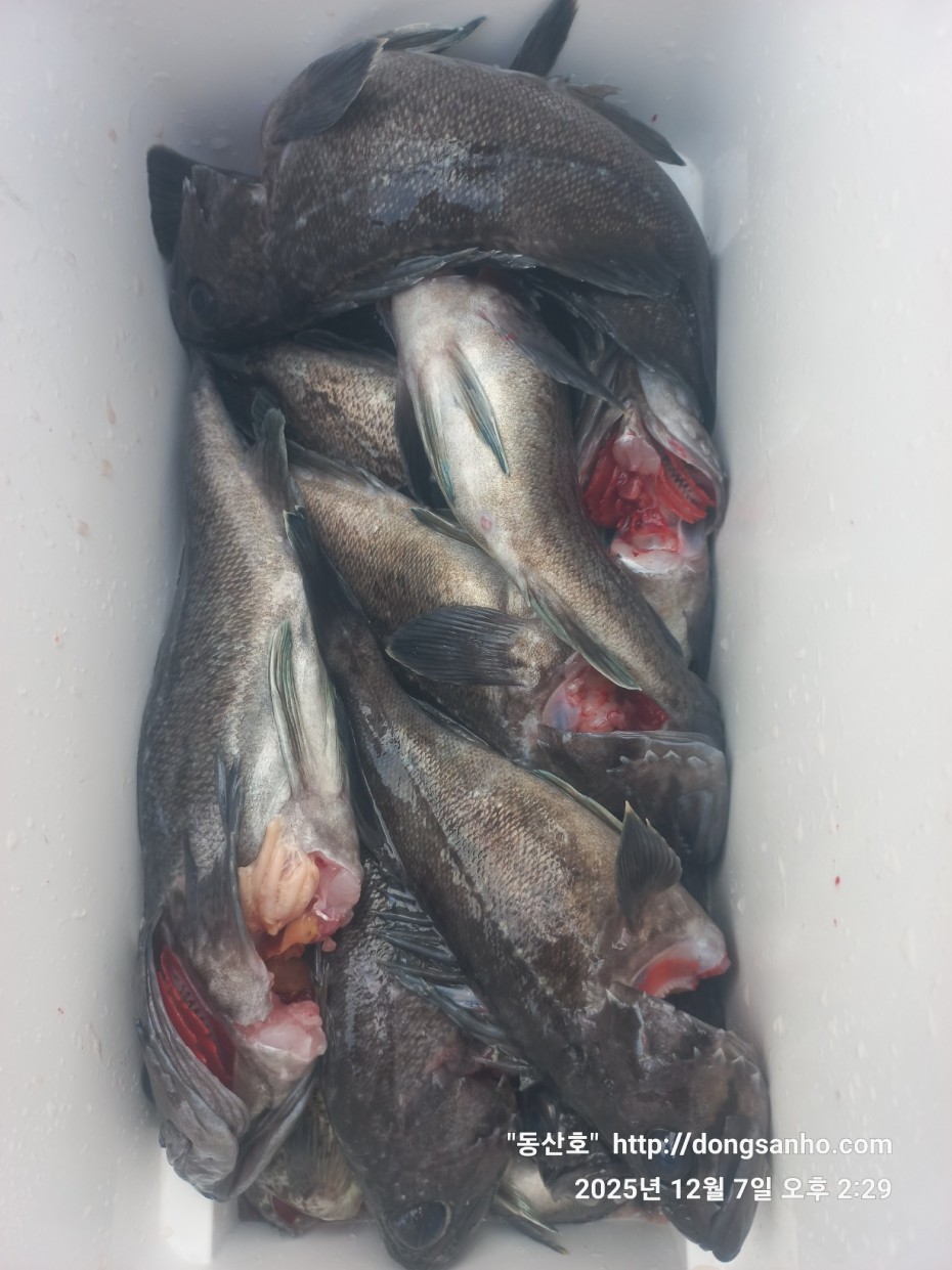 75fa8b21cb67879b08486f82596e85b3_1765161