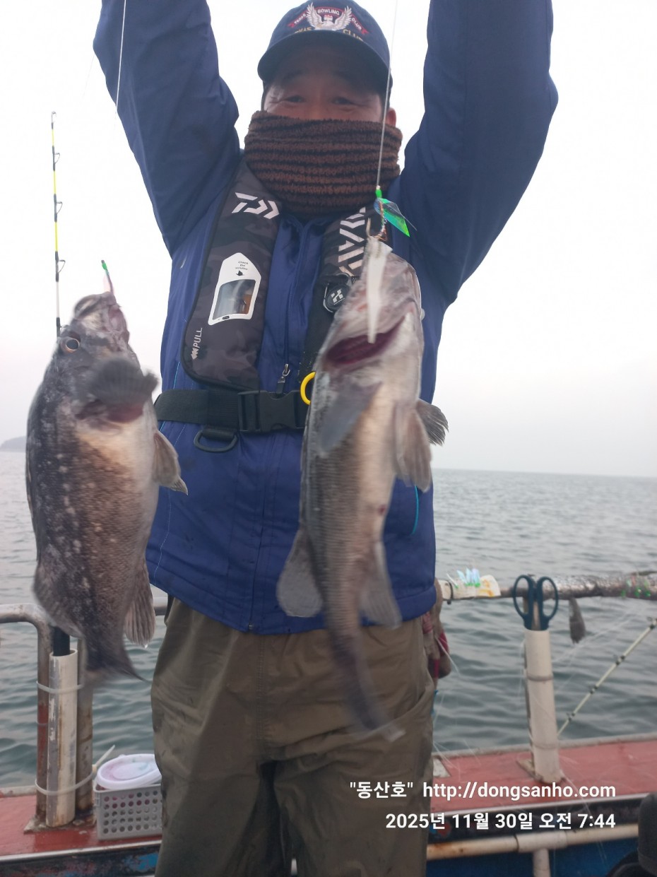 cb13cc84ed81f08c4db030690d1edadc_1764519