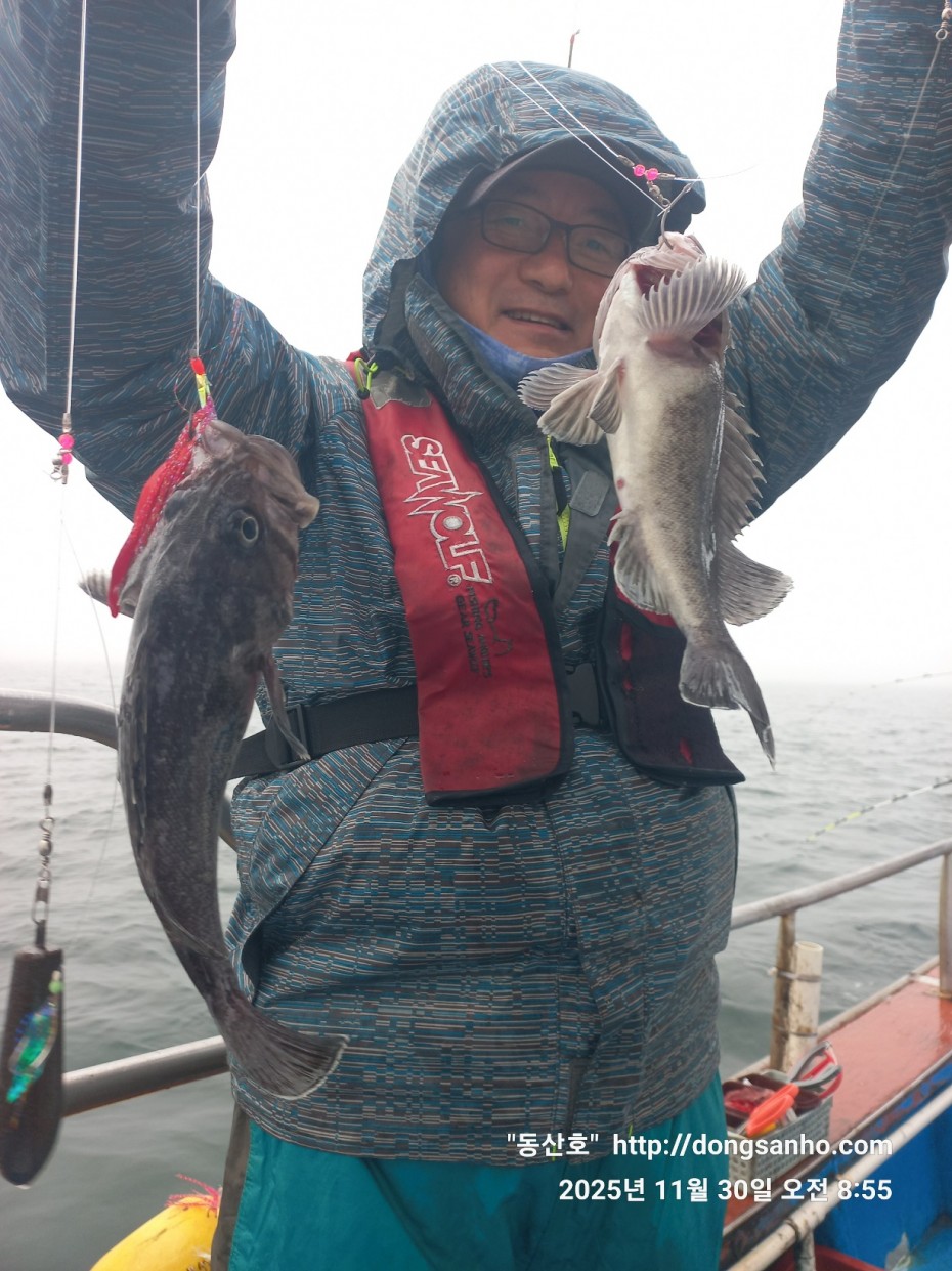 cb13cc84ed81f08c4db030690d1edadc_1764519