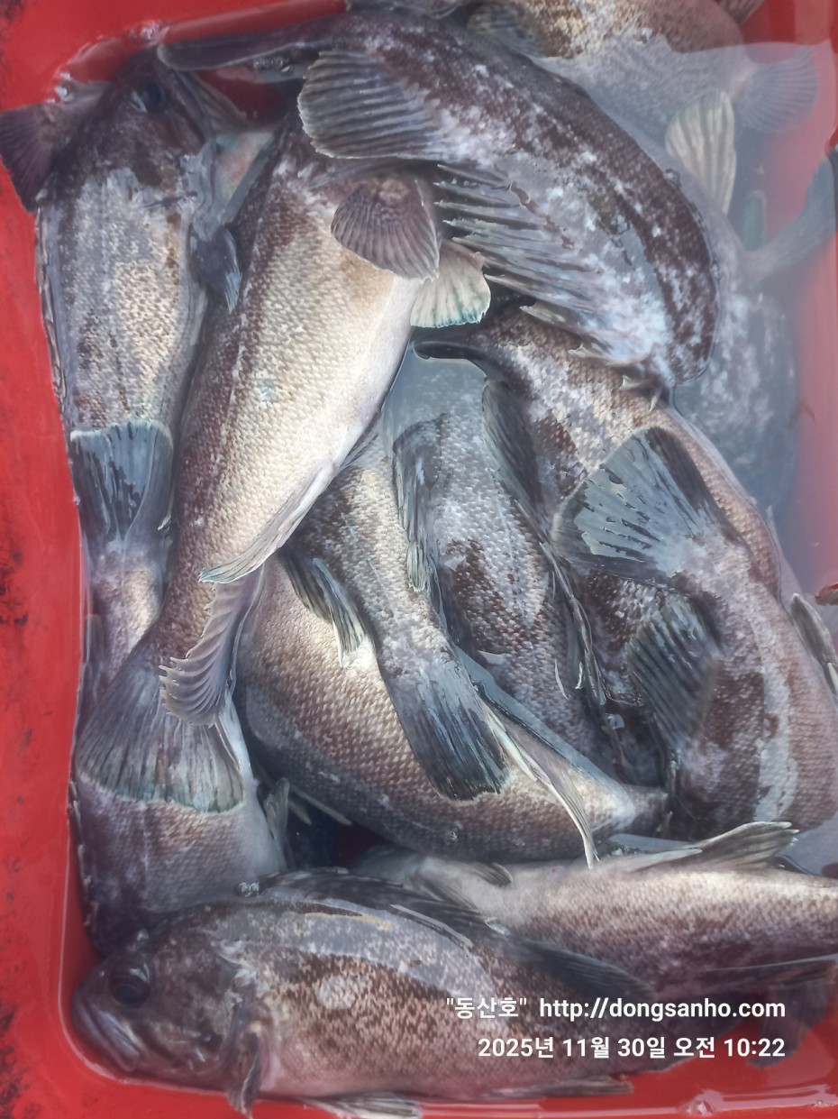 cb13cc84ed81f08c4db030690d1edadc_1764519