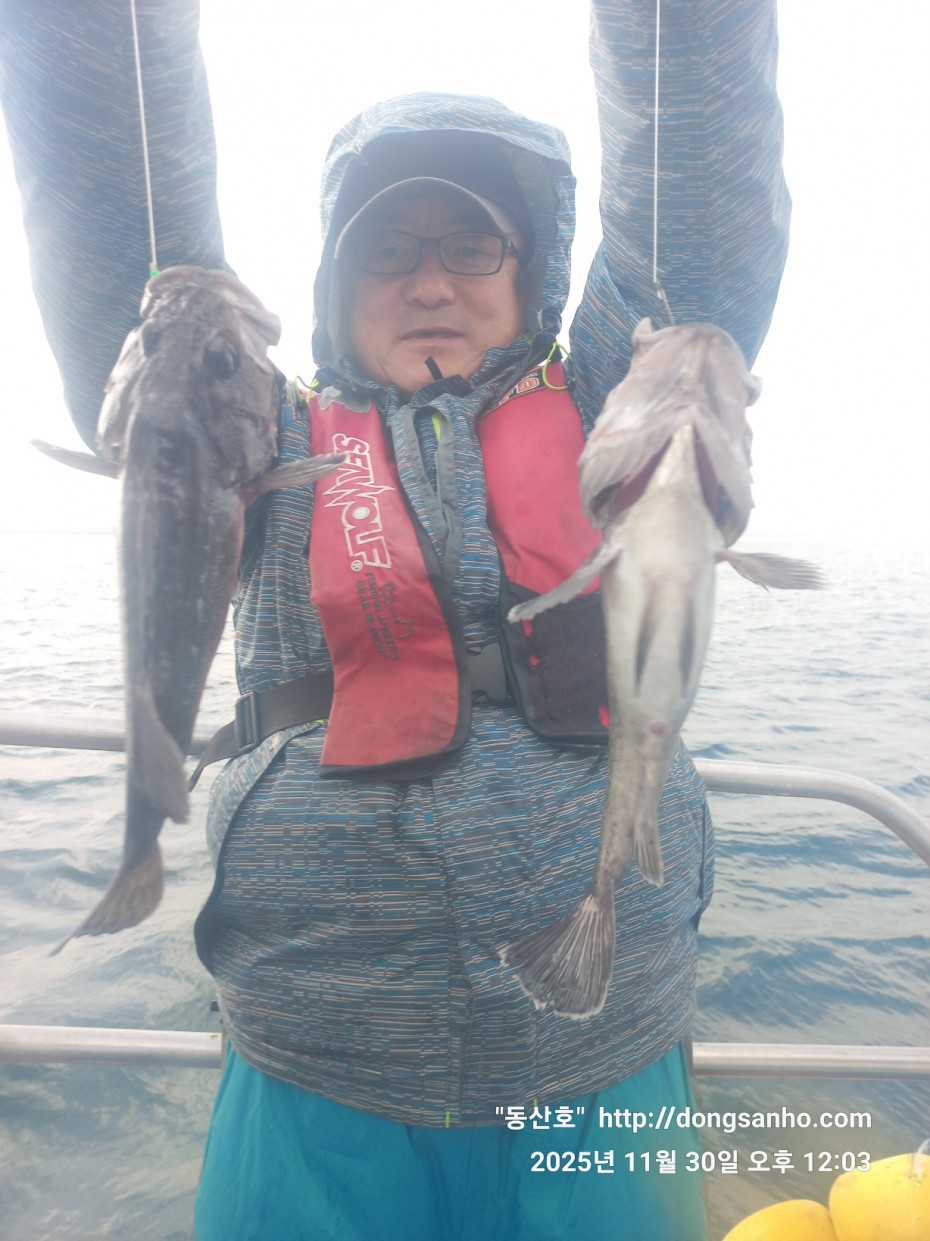 cb13cc84ed81f08c4db030690d1edadc_1764519