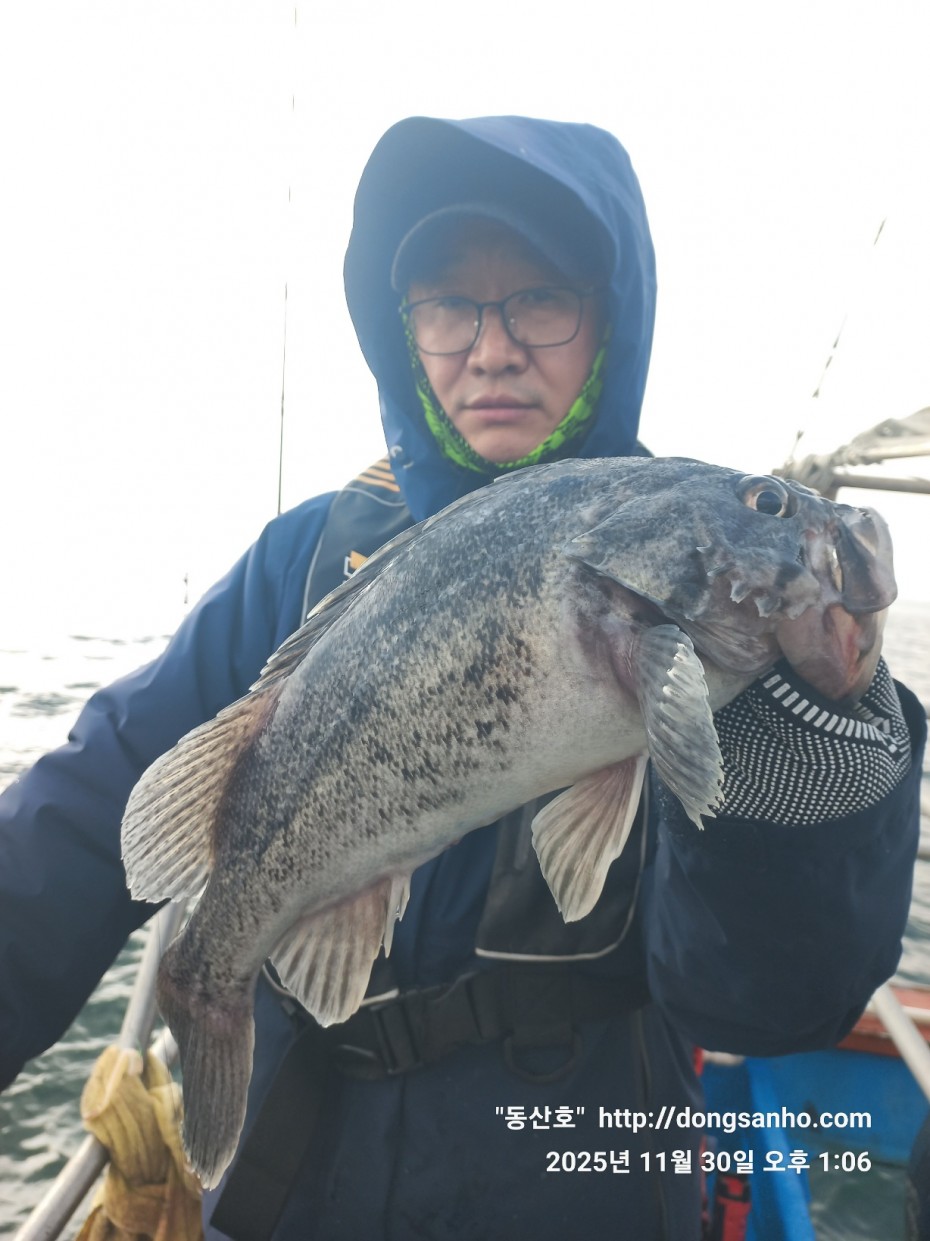 cb13cc84ed81f08c4db030690d1edadc_1764519