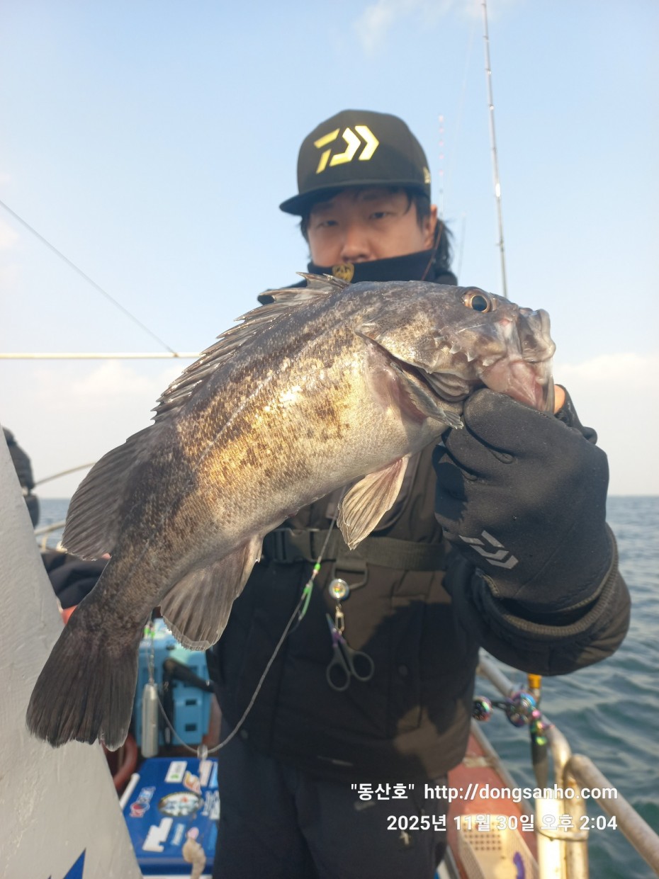 cb13cc84ed81f08c4db030690d1edadc_1764519