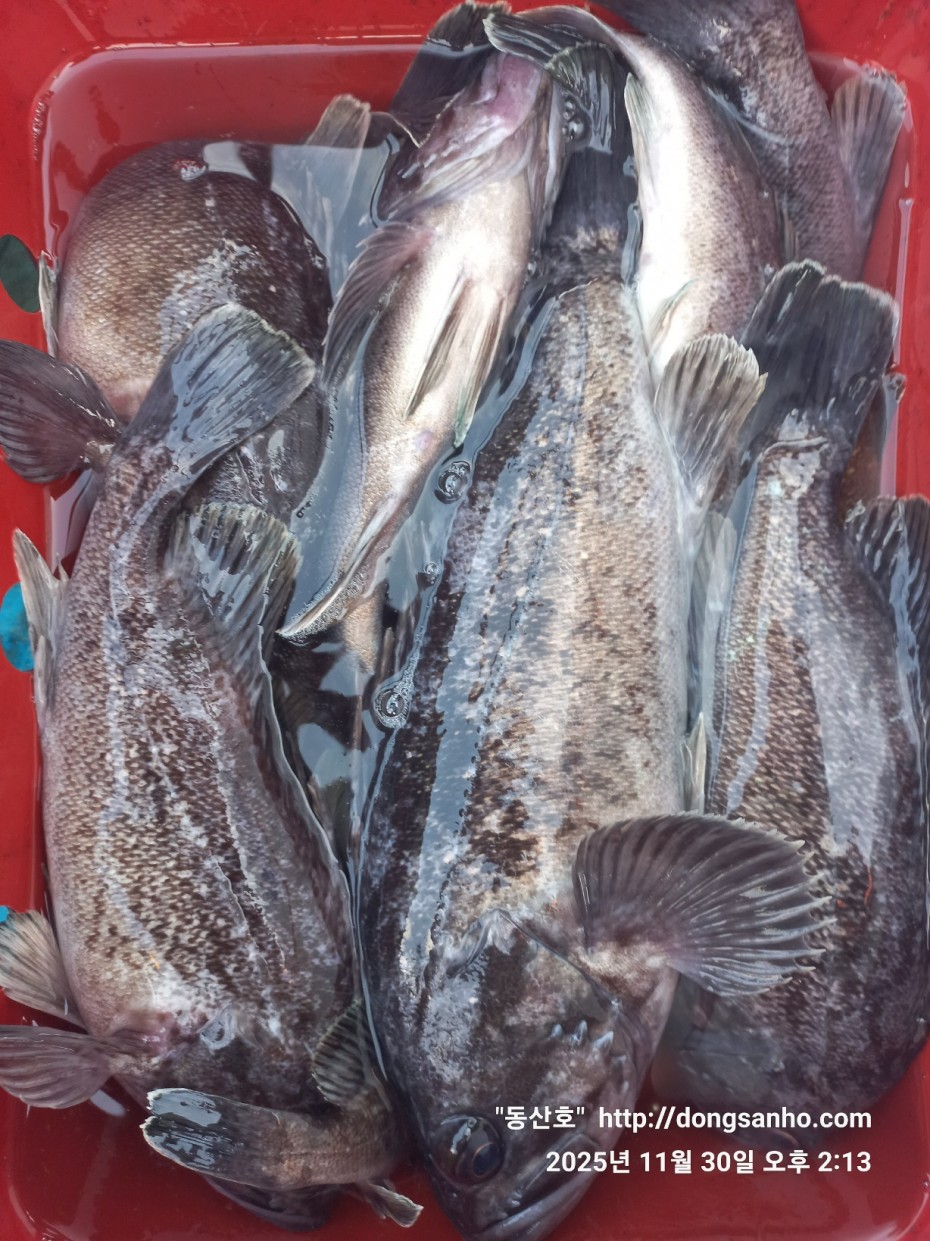 cb13cc84ed81f08c4db030690d1edadc_1764519