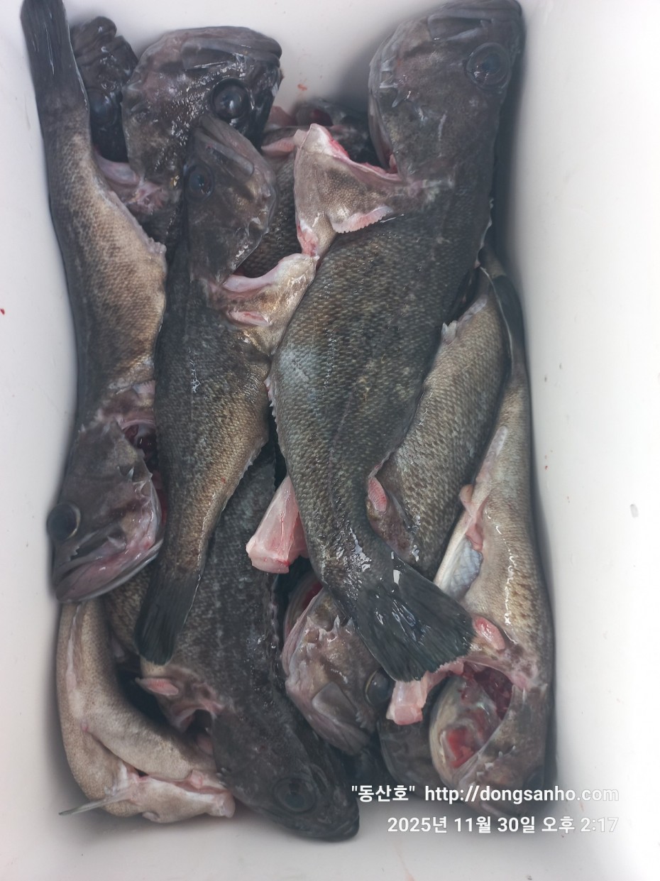 cb13cc84ed81f08c4db030690d1edadc_1764519