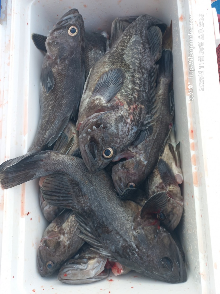 cb13cc84ed81f08c4db030690d1edadc_1764519