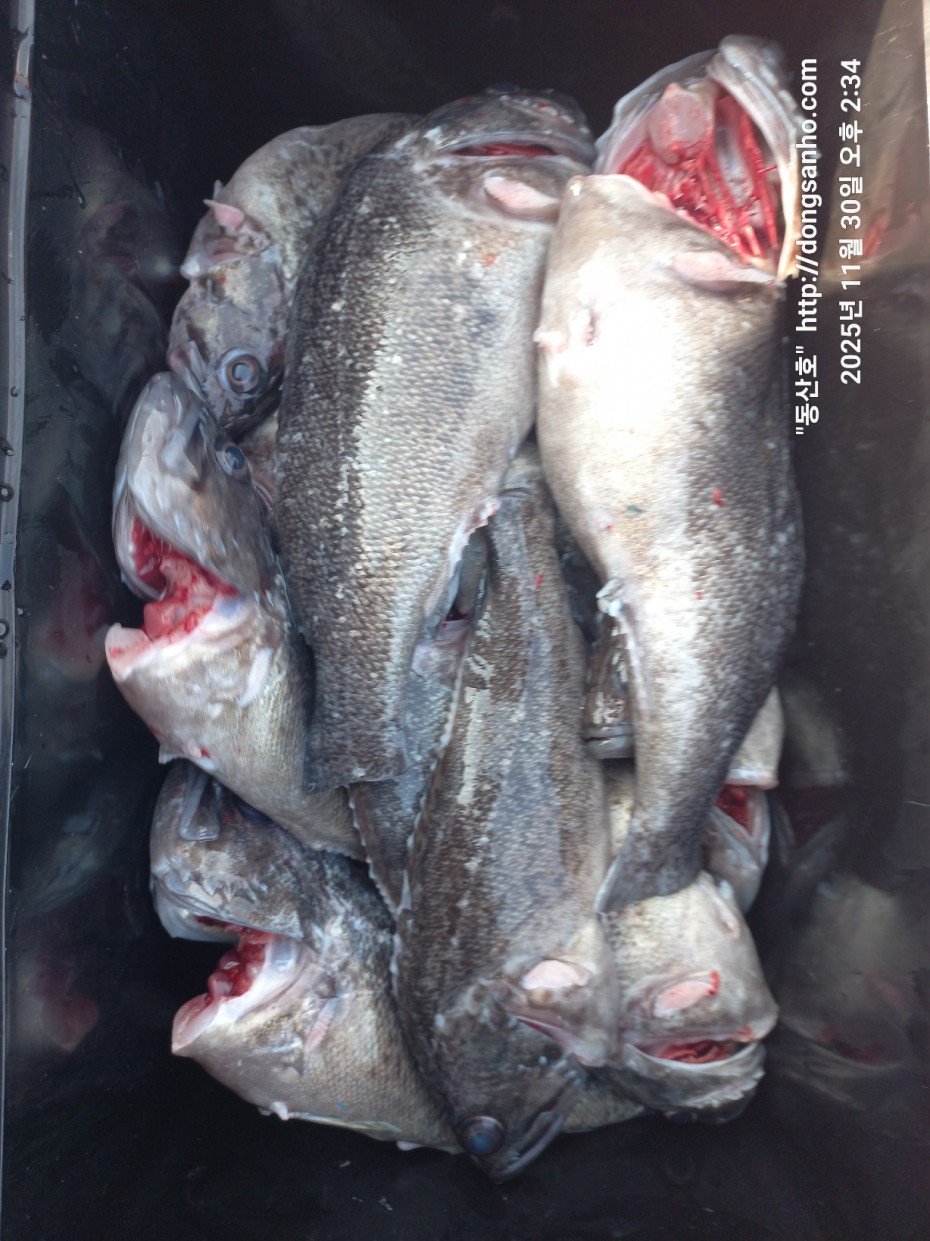 cb13cc84ed81f08c4db030690d1edadc_1764519