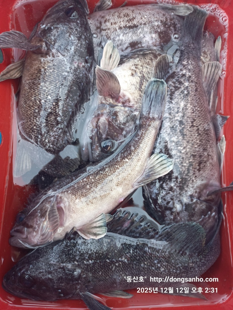 ee45a88a83aca2ba31c9307ad485821f_1765811