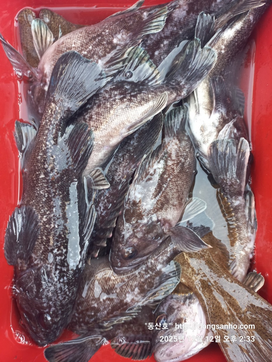 ee45a88a83aca2ba31c9307ad485821f_1765811