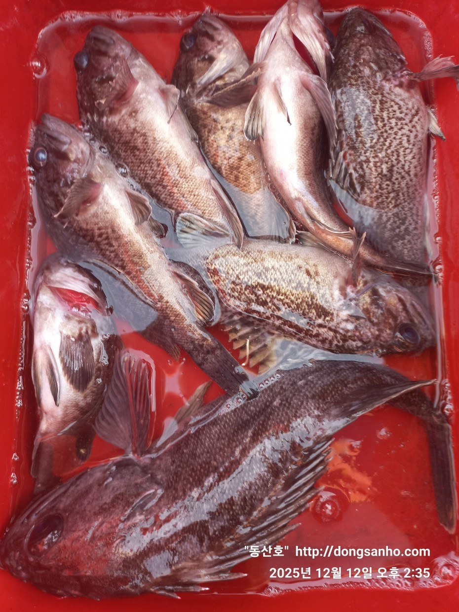 ee45a88a83aca2ba31c9307ad485821f_1765811