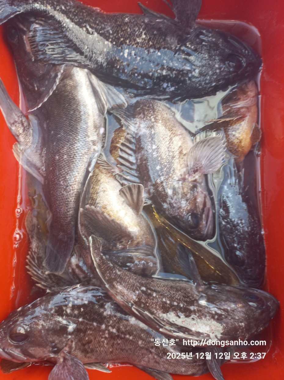 ee45a88a83aca2ba31c9307ad485821f_1765811