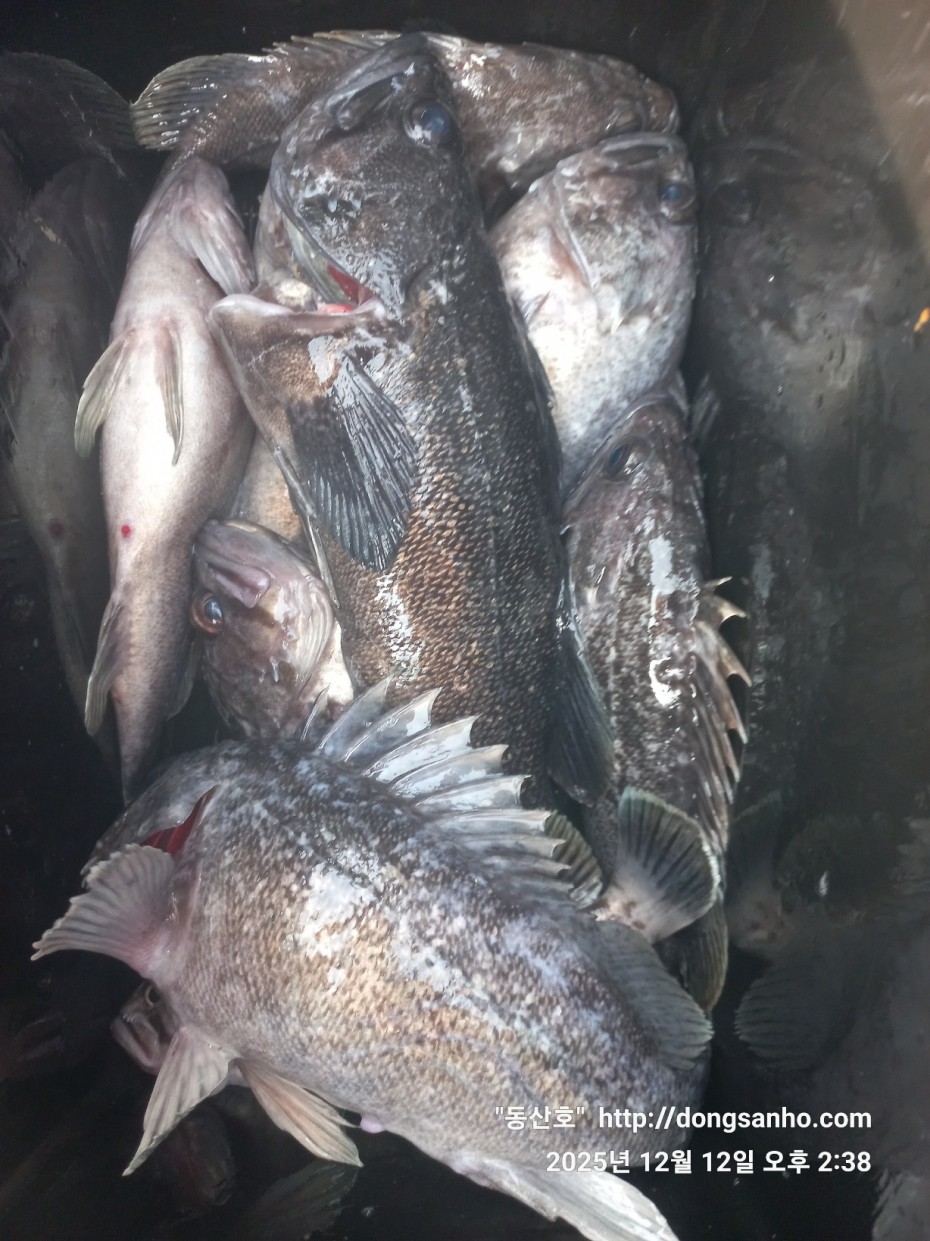 ee45a88a83aca2ba31c9307ad485821f_1765811