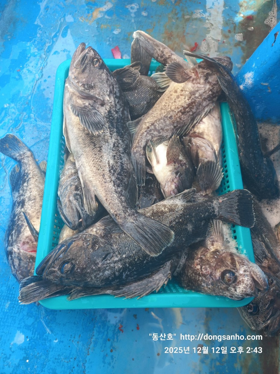 ee45a88a83aca2ba31c9307ad485821f_1765811