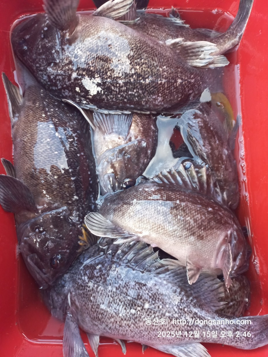 ee45a88a83aca2ba31c9307ad485821f_1765976