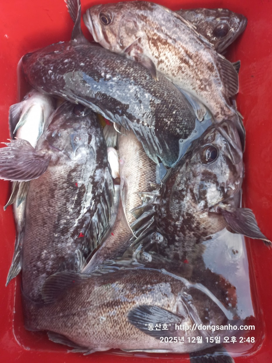 ee45a88a83aca2ba31c9307ad485821f_1765976