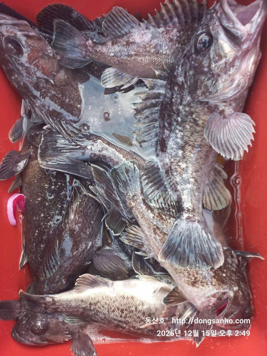 ee45a88a83aca2ba31c9307ad485821f_1765976