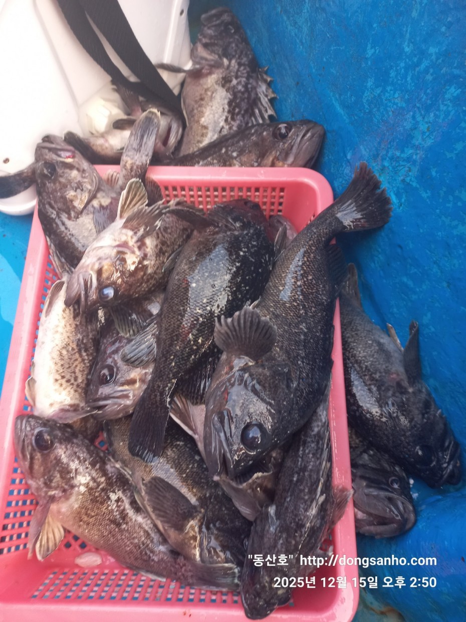 ee45a88a83aca2ba31c9307ad485821f_1765976