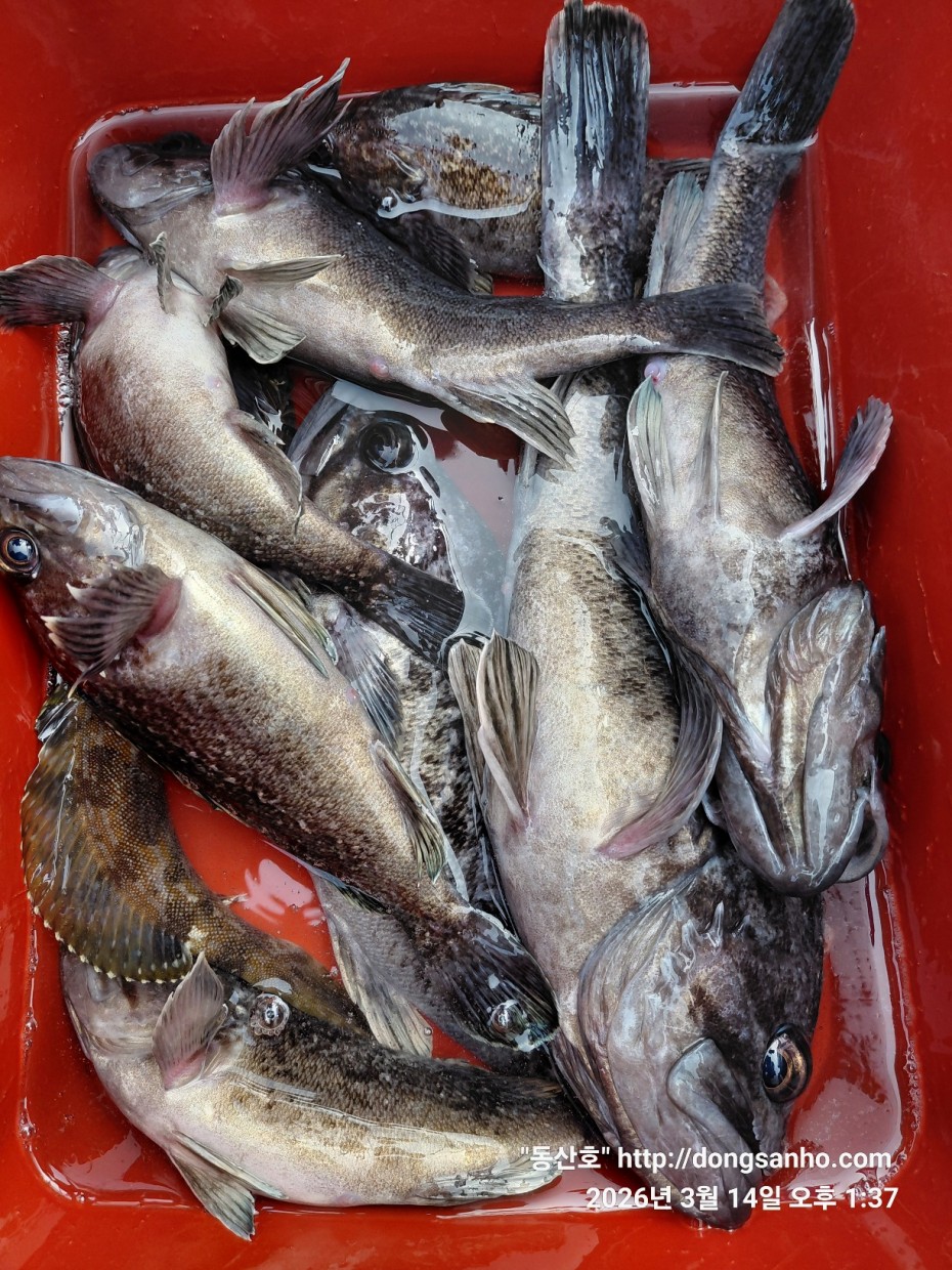 6c667cfeaa89cca1d0cf4a238b82321d_1773615