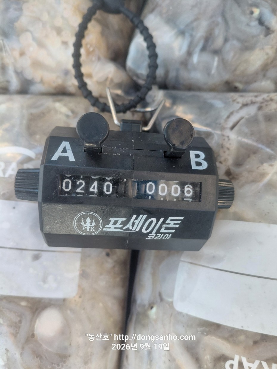 80fde8c87be31ba6e9e5bc769a60e4a5_1789917